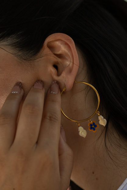 Argolas Ribeira/ Viana